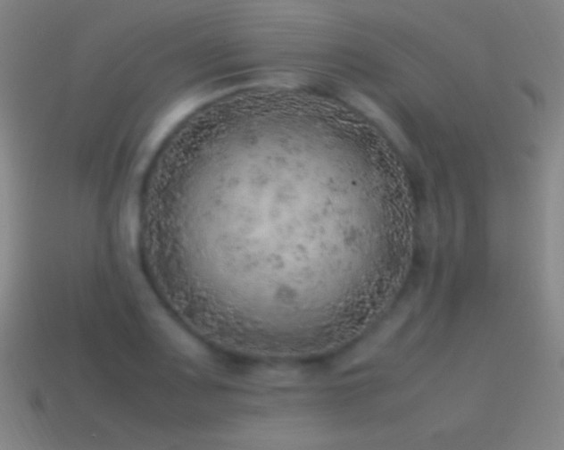 X0000115581083200911101143