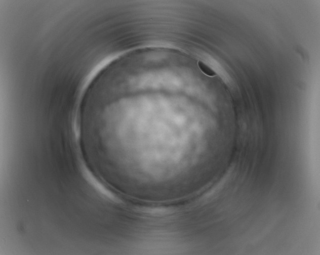 X0000115581084200911101143