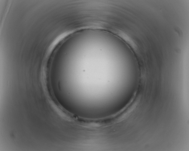 X0000115581085200911101143