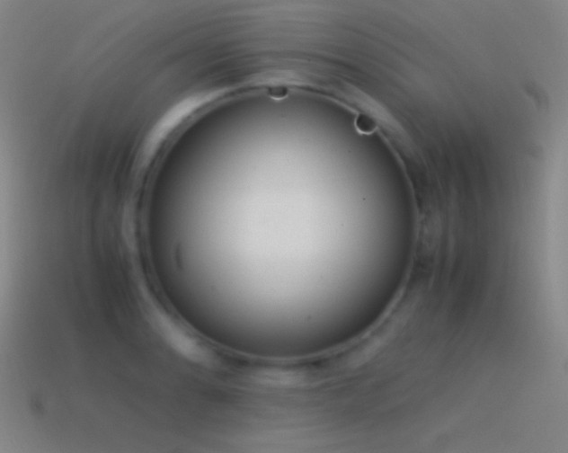 X0000115581086200911101143