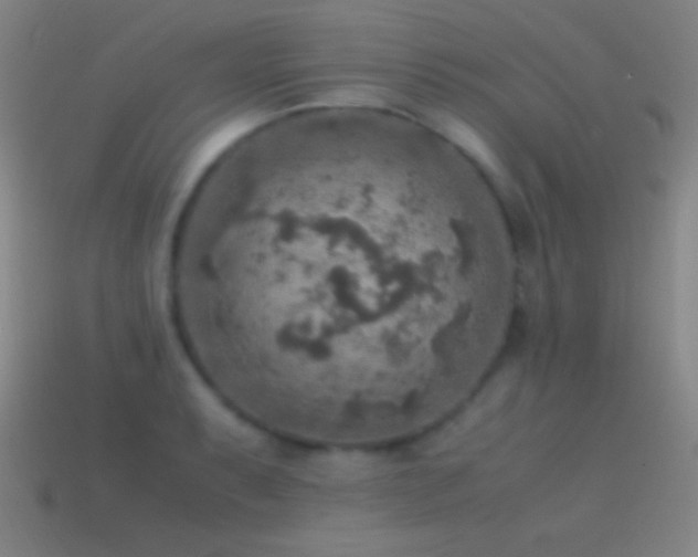 X0000115581087200911101143