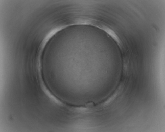 X0000115581088200911101143