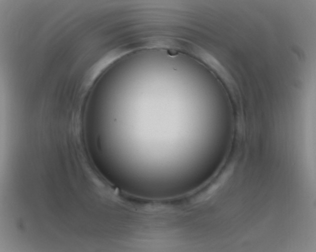 X0000115581089200911101143