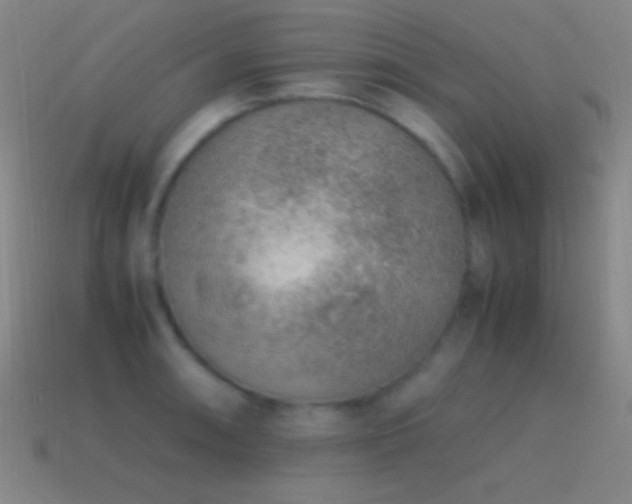 X0000115581090200911101143