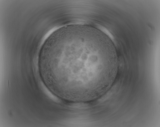 X0000115581091200911101143