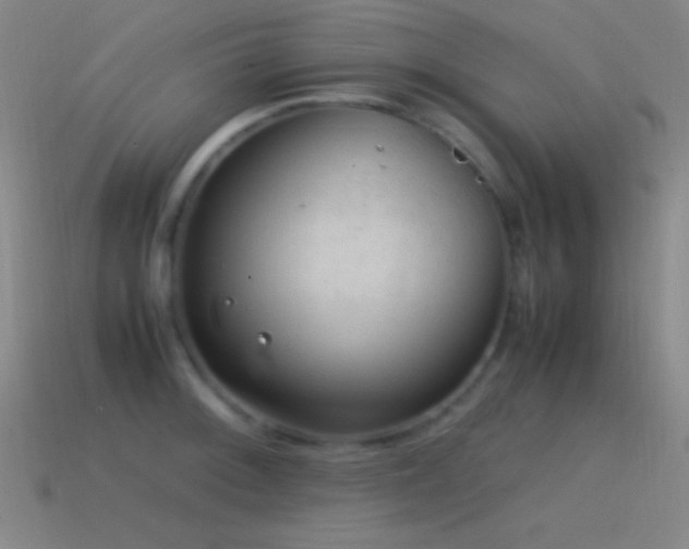 X0000115581092200911101143