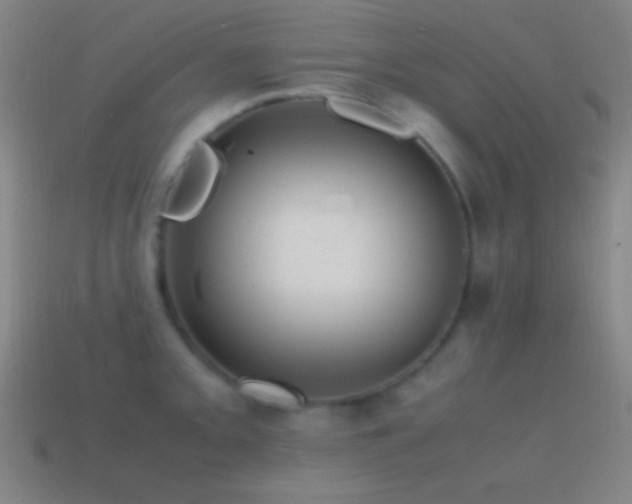 X0000115581093200911101143