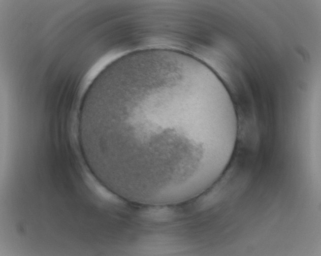 X0000115581094200911101143