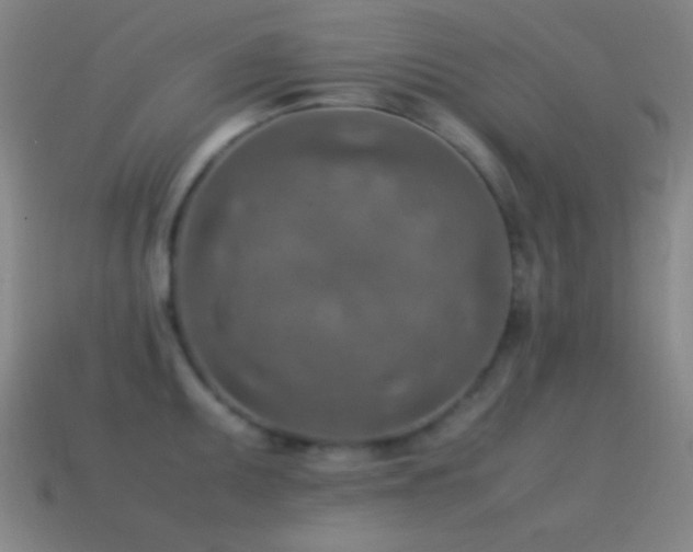 X0000115581095200911101143