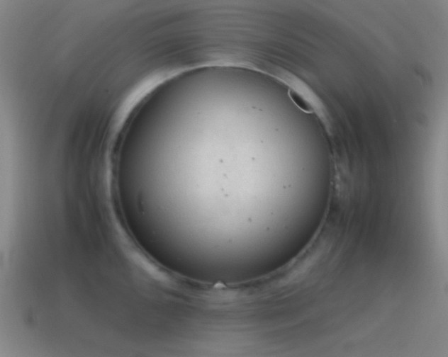 X0000115581096200911101143