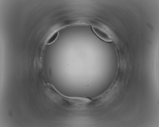 X0000115581097200911101143