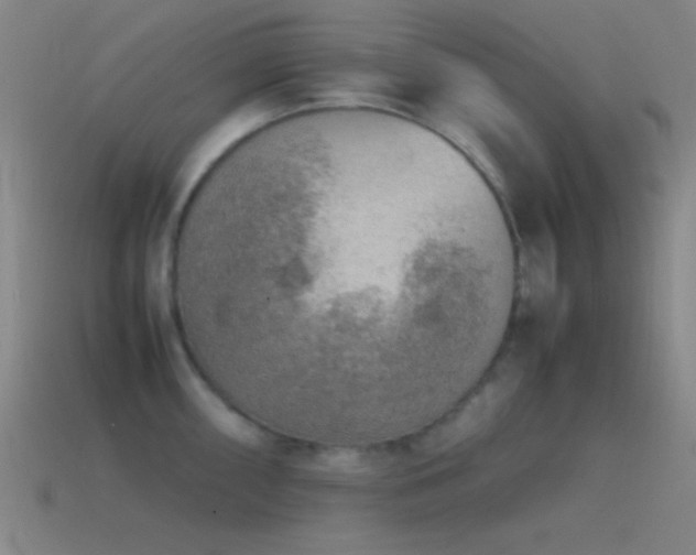 X0000115581098200911101143