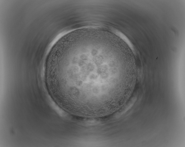 X0000115581099200911101143