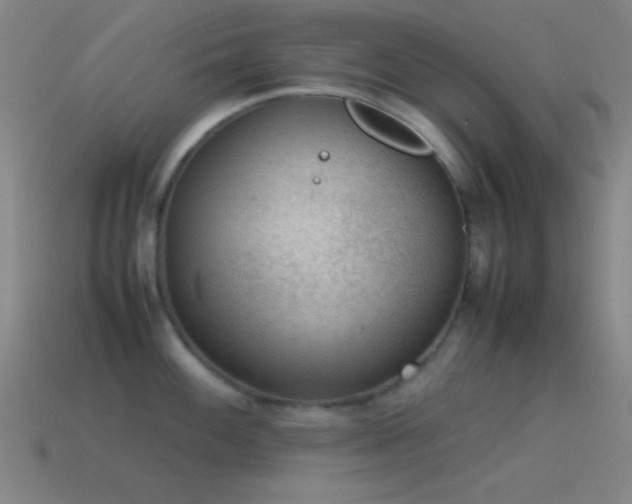 X0000115581100200911101143