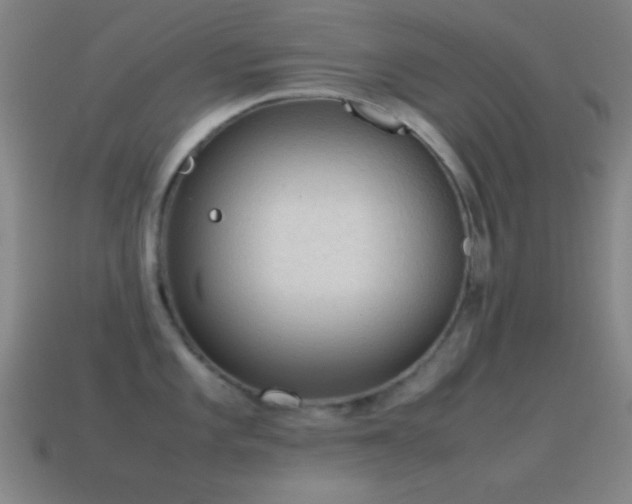 X0000115581101200911101143