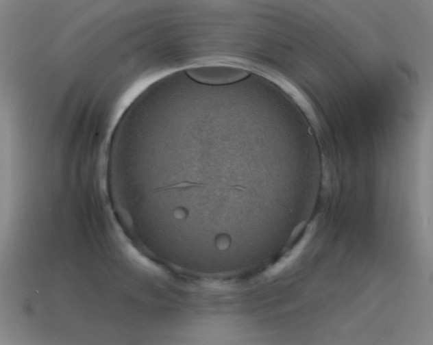 X0000115581102200911101142