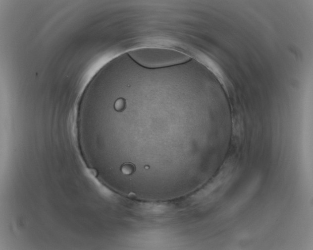 X0000115581103200911101142