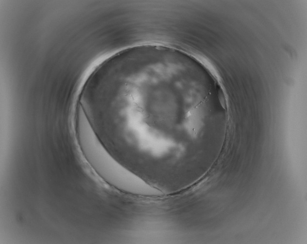 X0000115581104200911101142