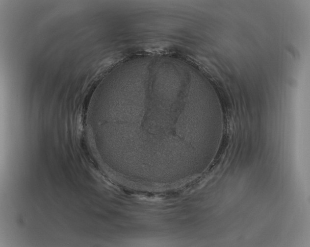 X0000115581106200911101142