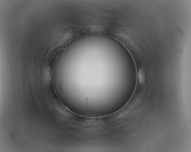 X0000115581107200911101142