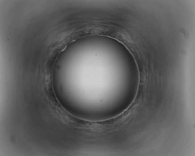 X0000115581109200911101142