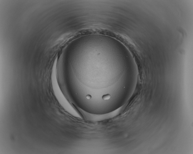 X0000115581110200911101142