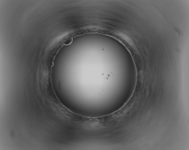 X0000115581111200911101142