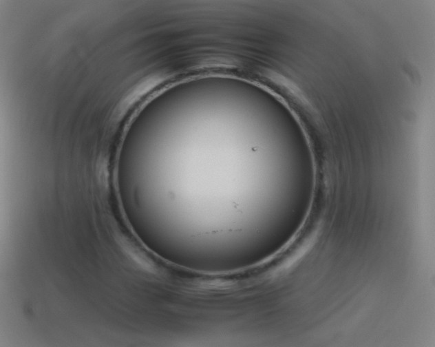 X0000115581113200911101142