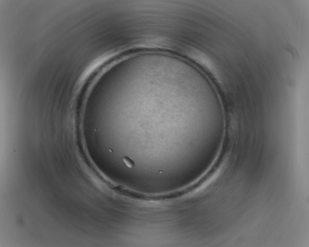 X0000115581114200911101142