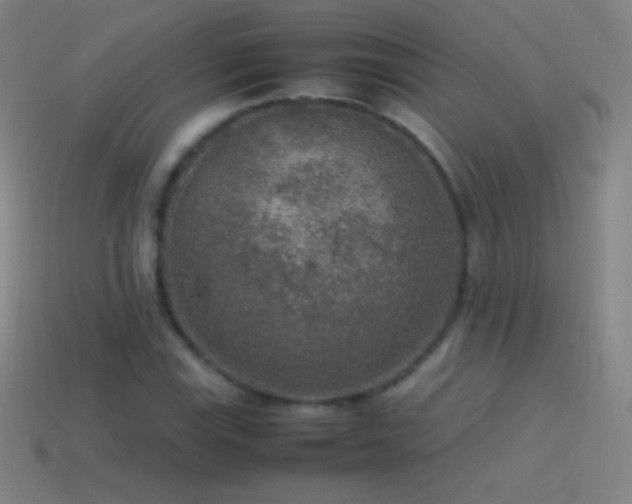 X0000115581115200911101142