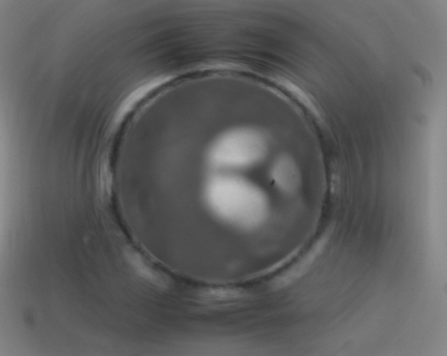 X0000115581117200911101142