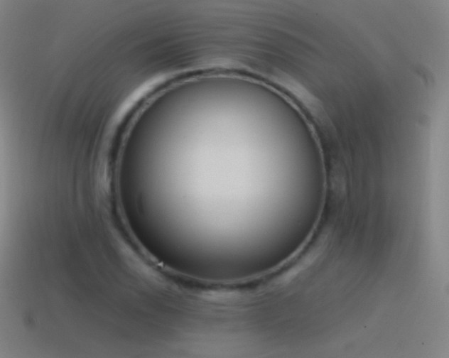 X0000115581118200911101142