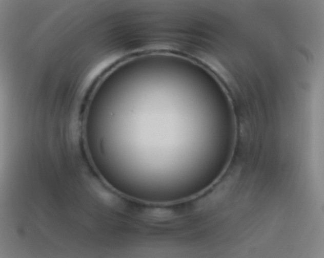 X0000115581119200911101142