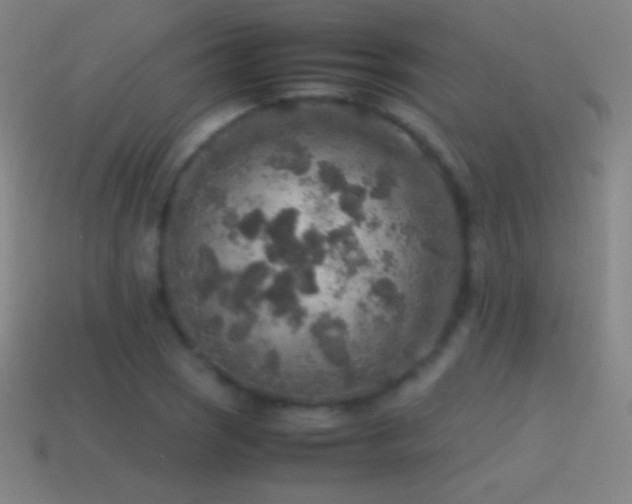 X0000115581121200911101142