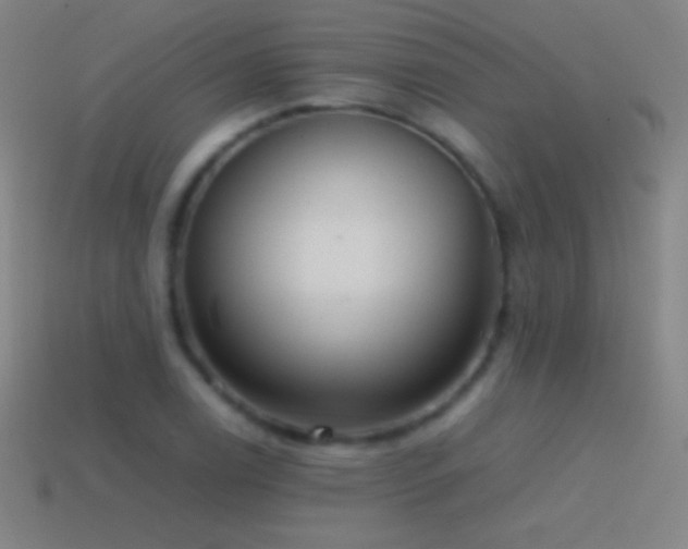 X0000115581122200911101142