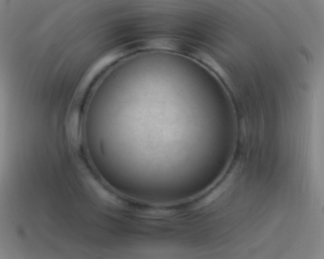 X0000115581123200911101142