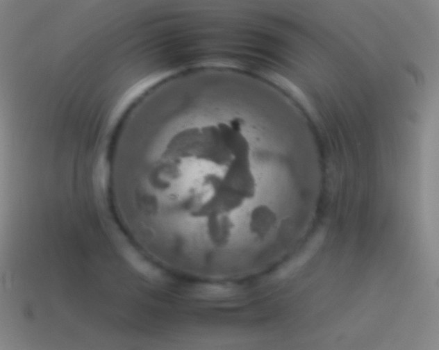 X0000115581125200911101142