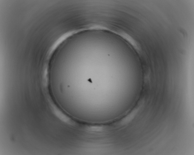 X0000115581126200911101142