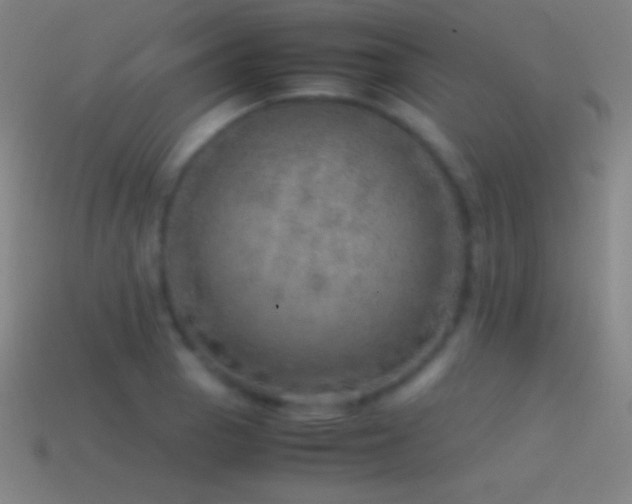 X0000115581129200911101142