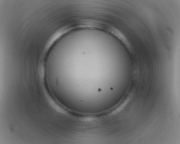 X0000115581130200911101142