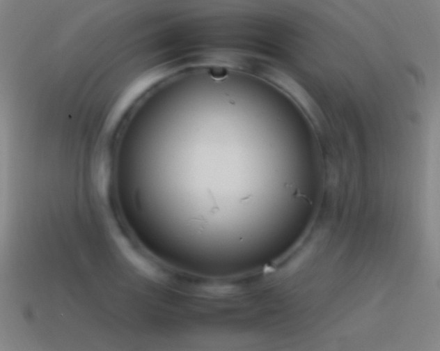 X0000115581131200911101142