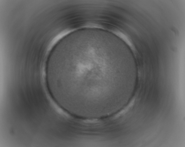 X0000115581133200911101142