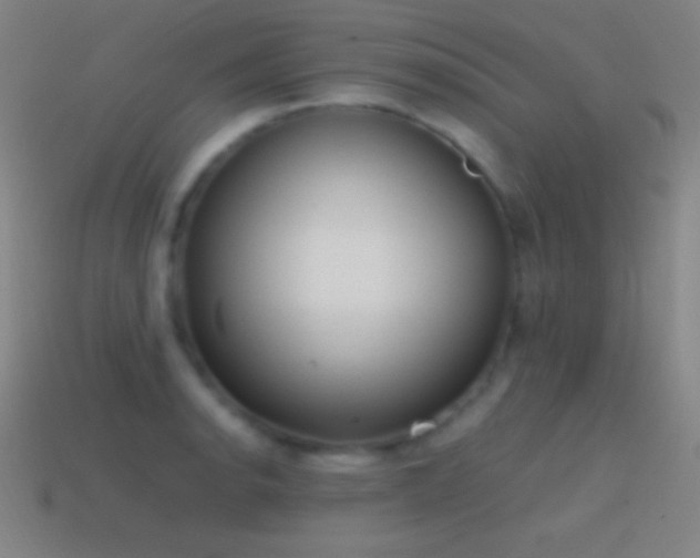 X0000115581134200911101142