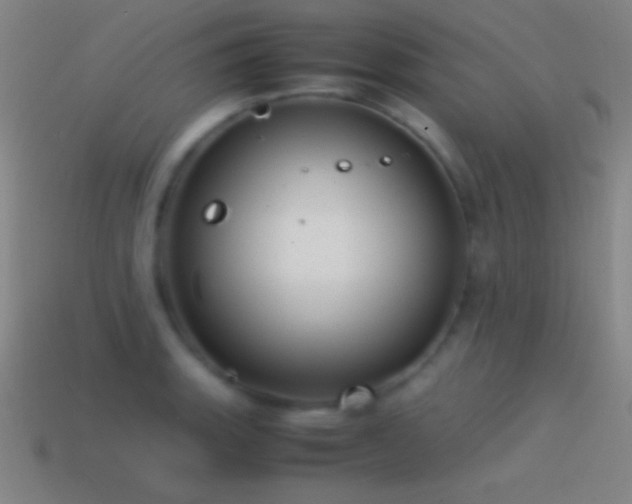 X0000115581135200911101142