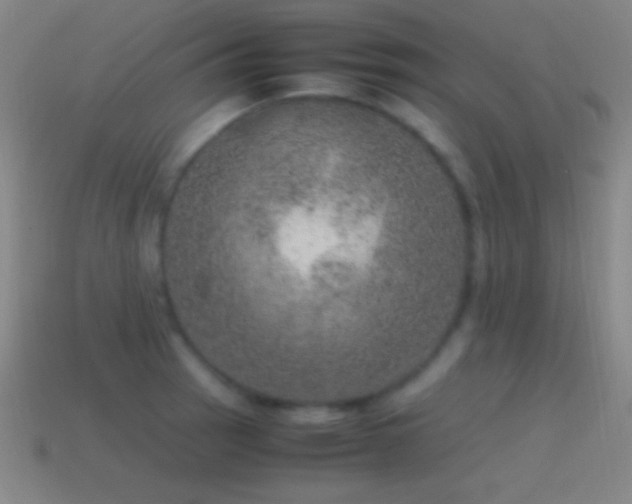 X0000115581137200911101142