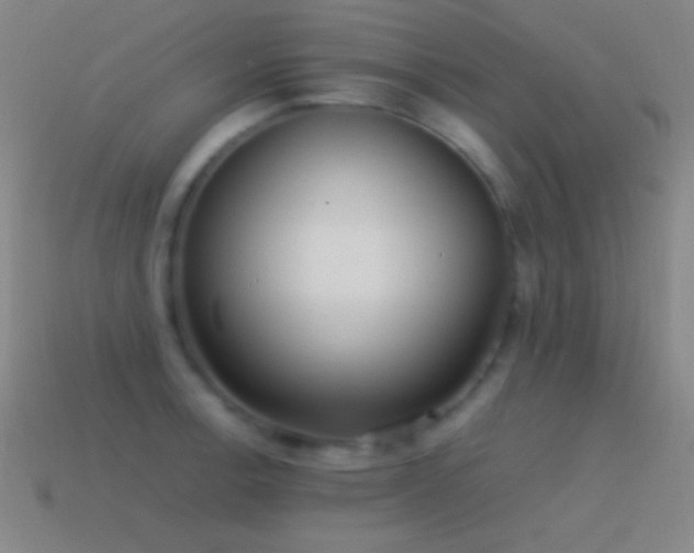 X0000115581138200911101142