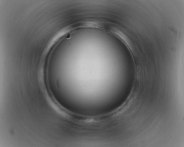 X0000115581139200911101142