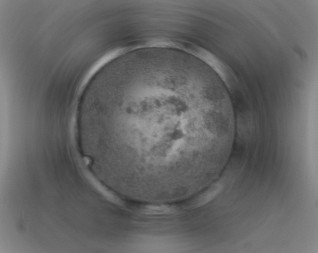 X0000115581142200911101142