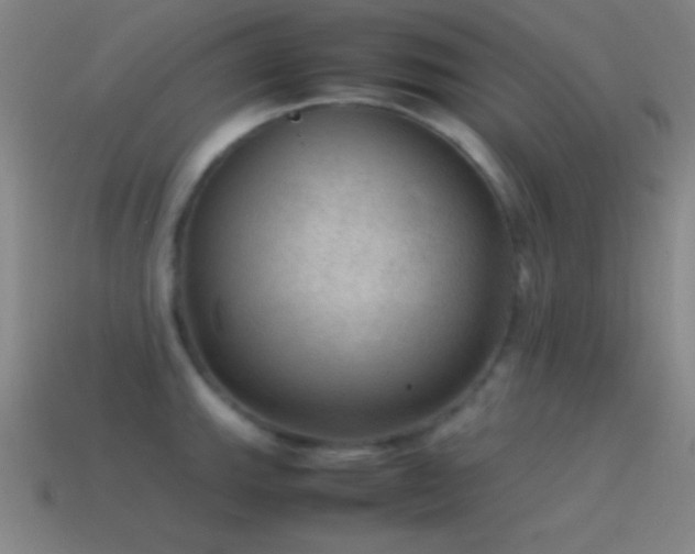 X0000115581143200911101142