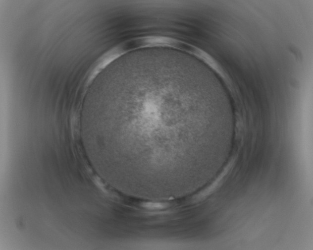 X0000115581145200911101142